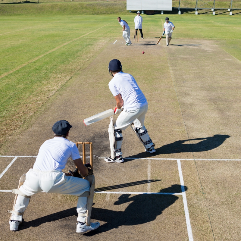 cricket